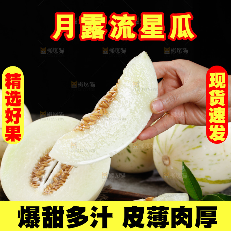 手里拿着白露流星蜜瓜