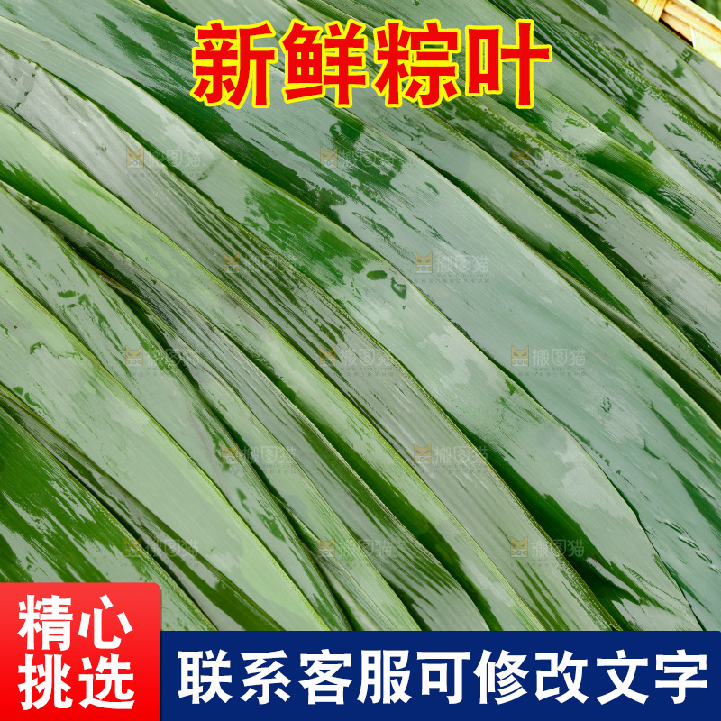 新鲜粽叶纹理