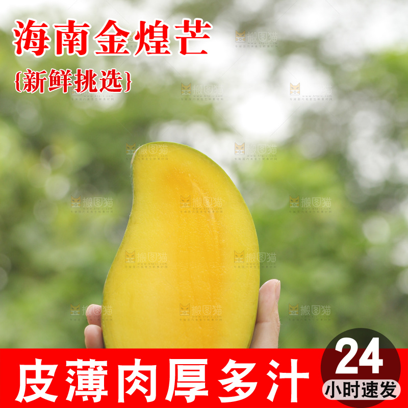 手里拿着金煌芒