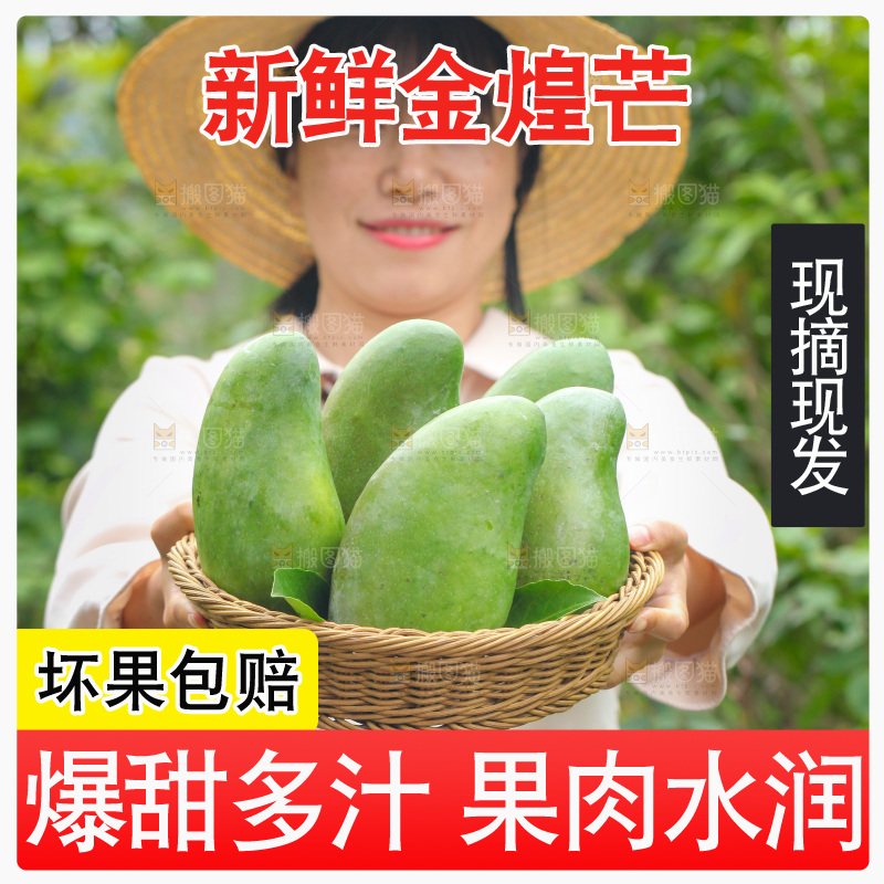 手里端着一篮青皮金煌芒