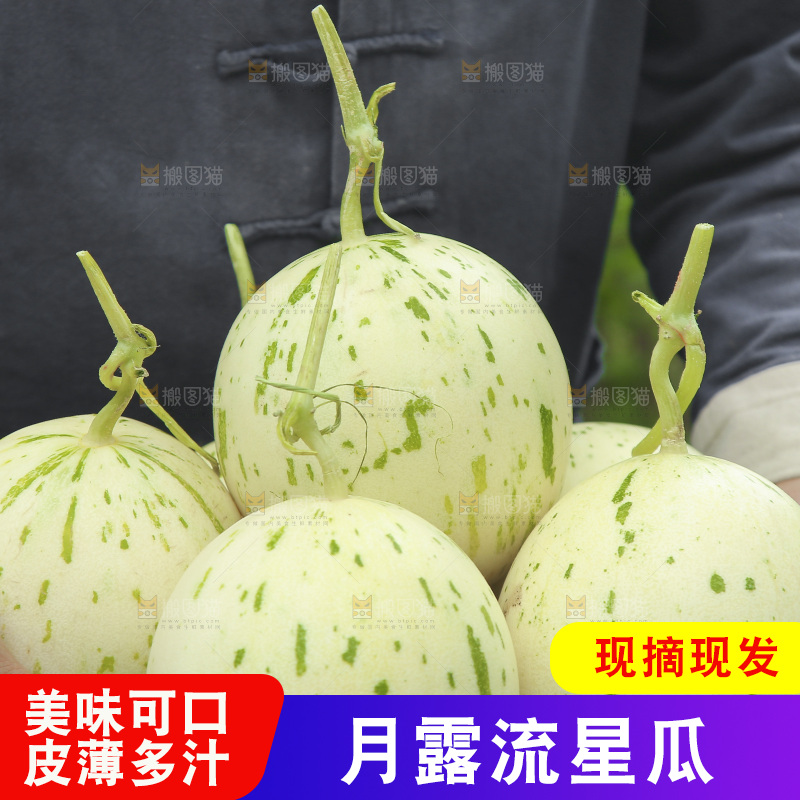 手里端着一篮月露流星蜜瓜
