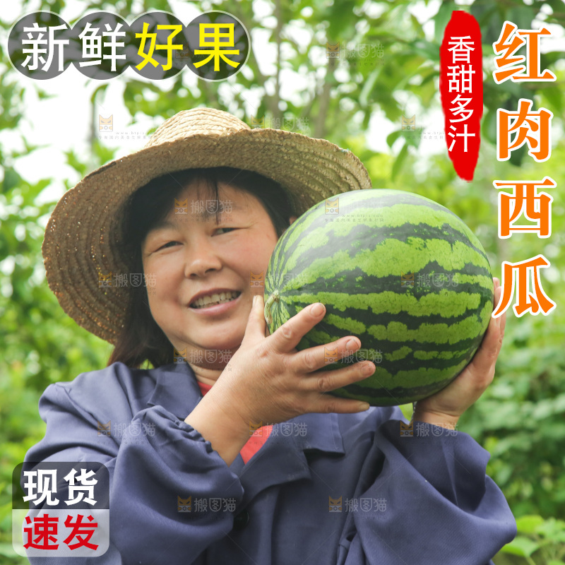 手里抱着西瓜