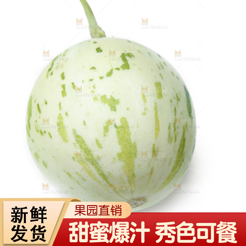 白底上的流星蜜瓜