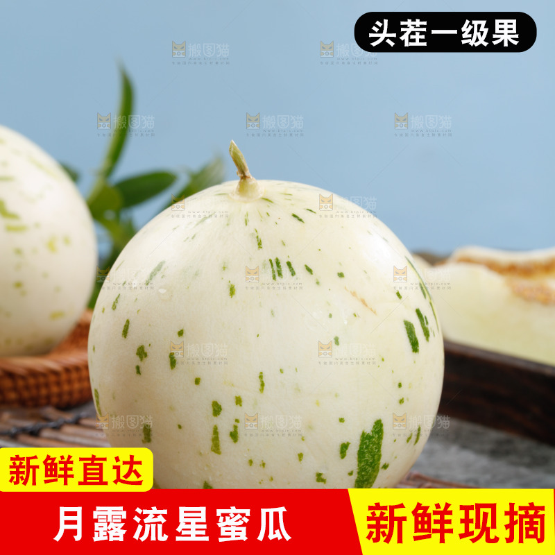 新鲜的月露流星蜜瓜