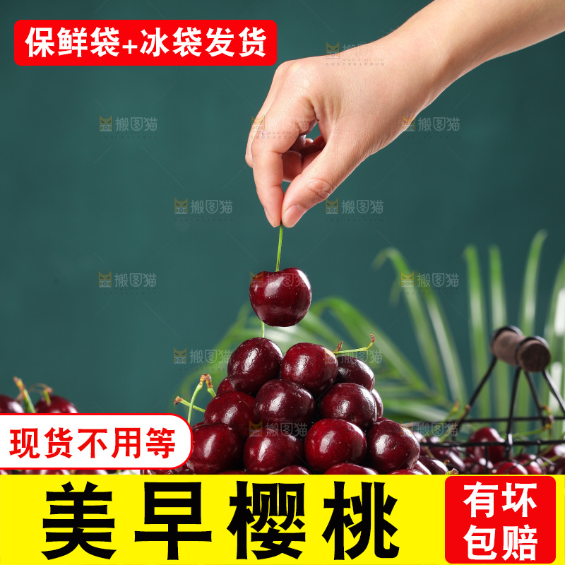 一堆山东大樱桃