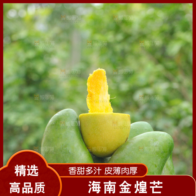 手里端着一篮水仙芒