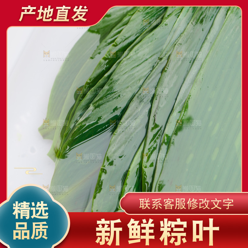新鲜的粽子叶