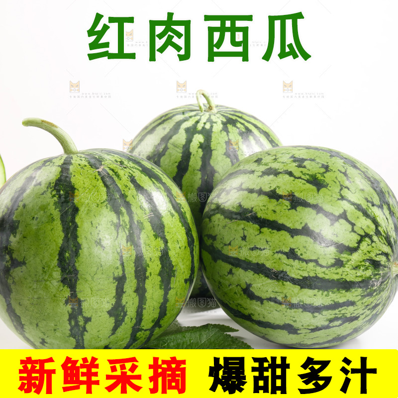 白底上放着麒麟西瓜