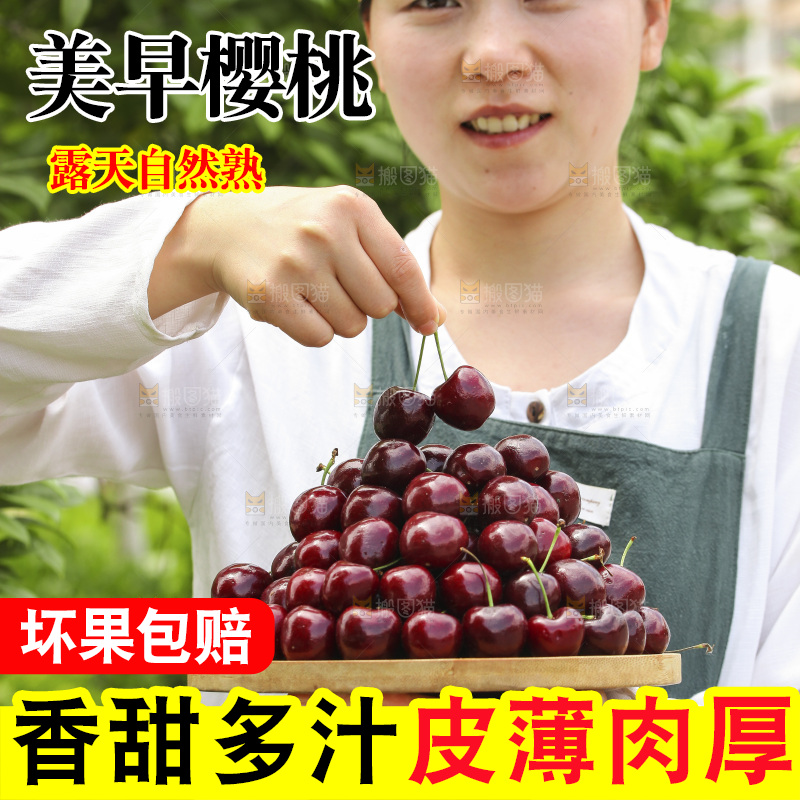 手里端着一盘美早大樱桃