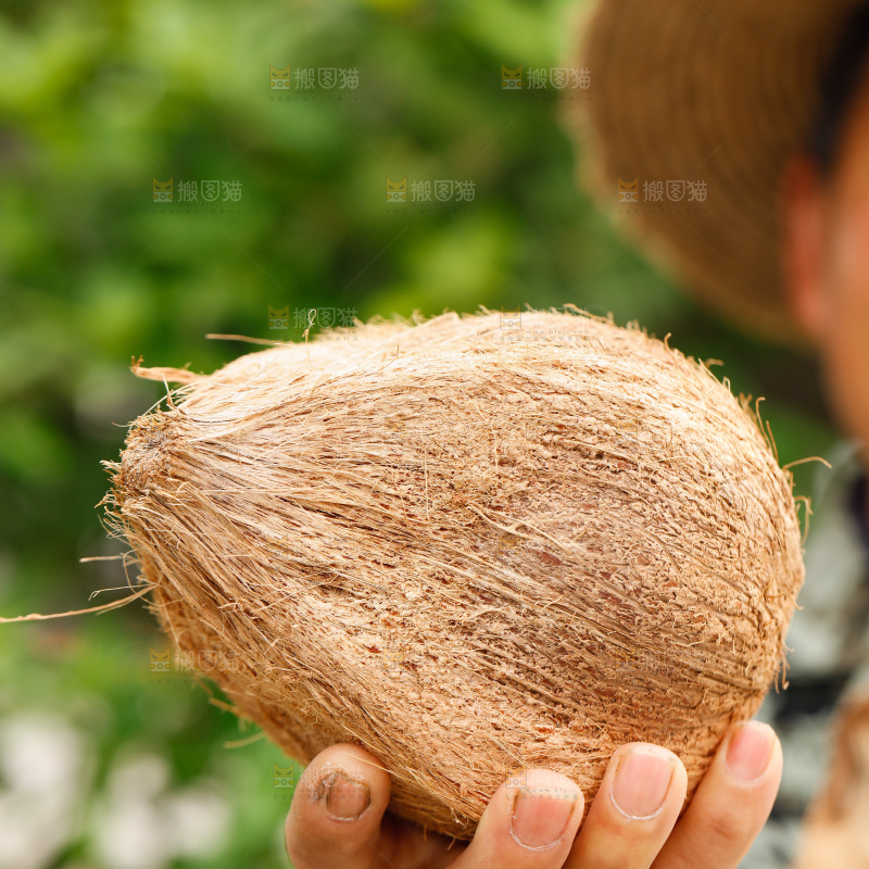 手里拿着老椰子