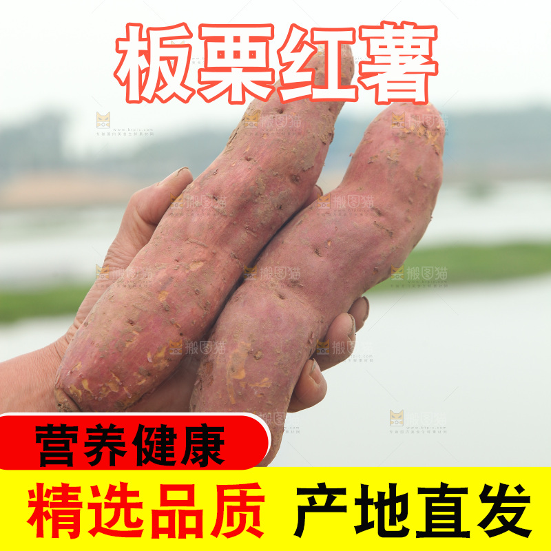 手里拿着板栗红薯