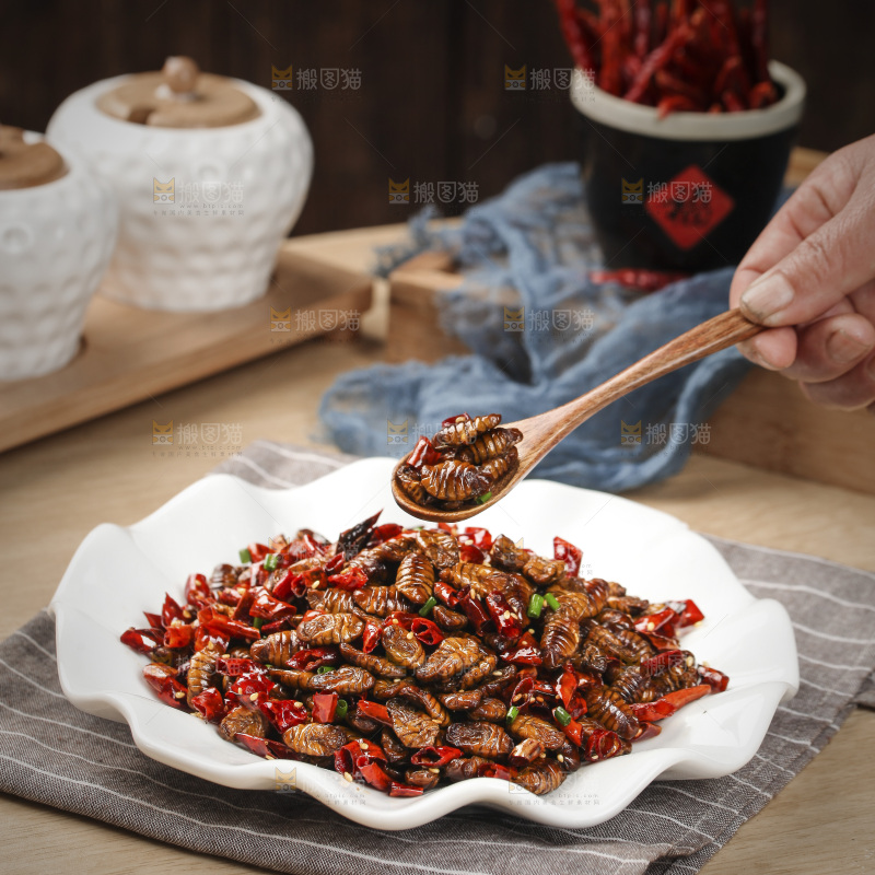 勺子上舀着蚕蛹