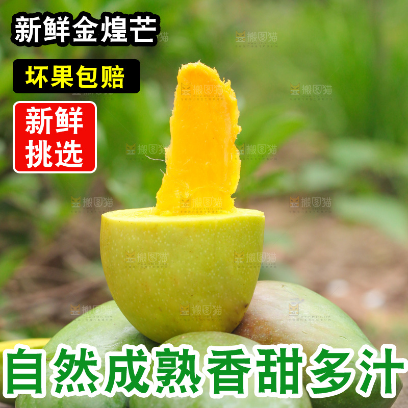 新鲜的青皮金煌芒