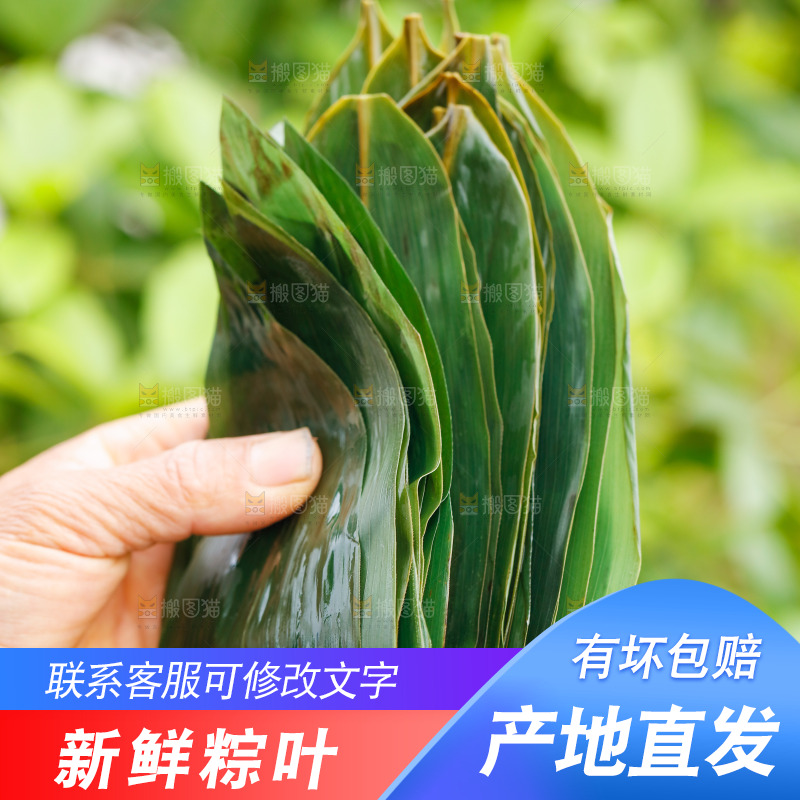 手里拿着粽子叶