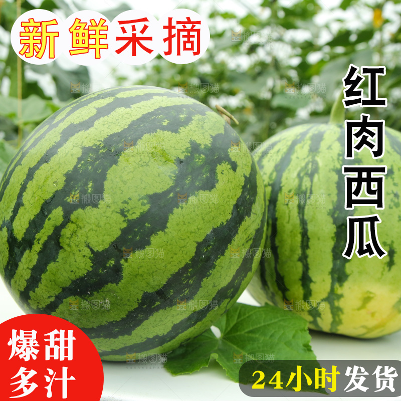 桌子上放着西瓜
