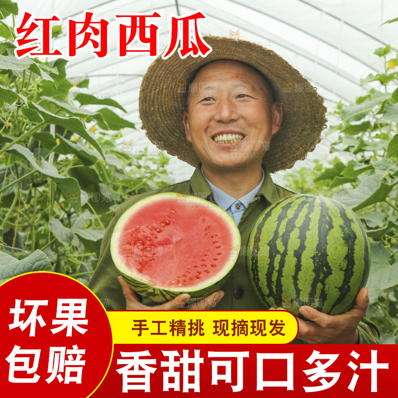 手里抱着红肉西瓜