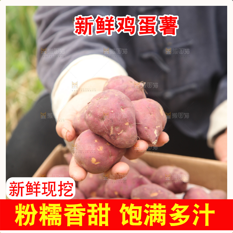 手里拿着小香薯