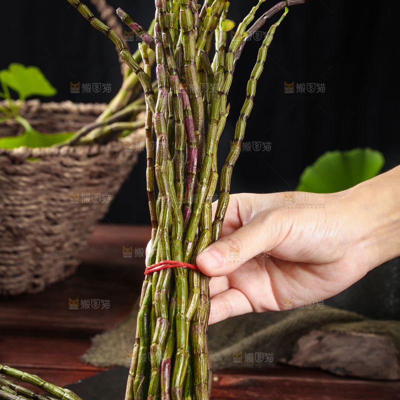 手里拿着云南铁皮石斛