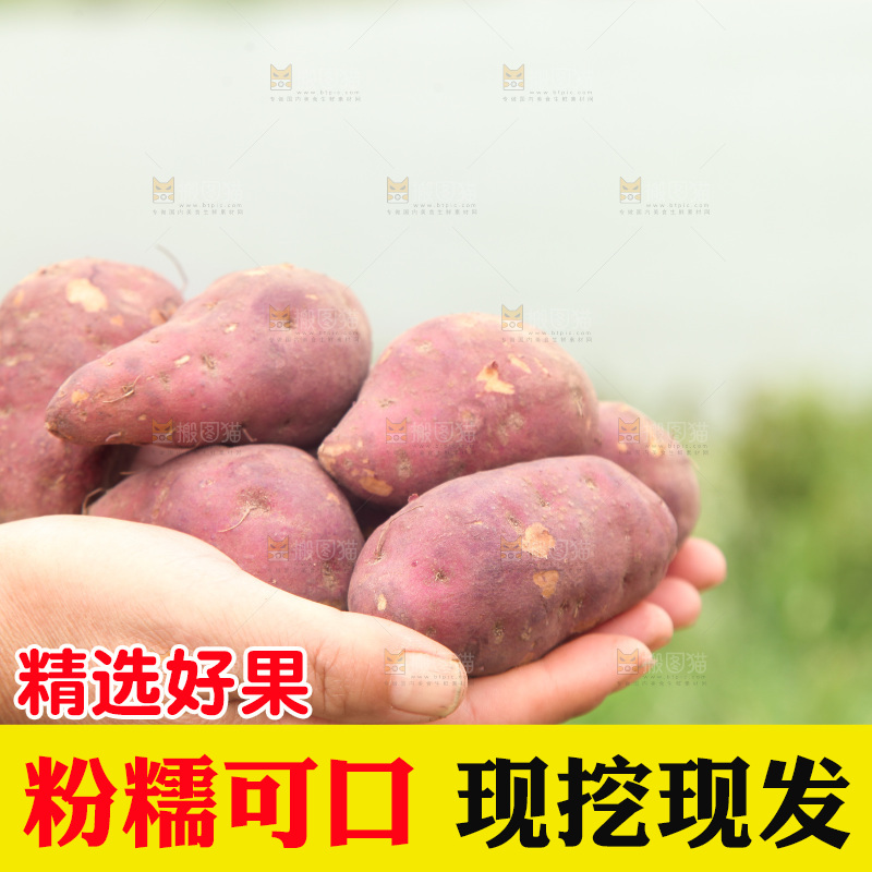 手里捧着天目山鸡蛋薯