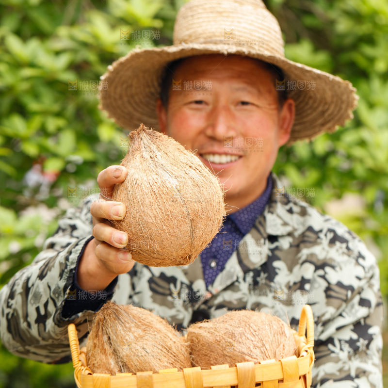 手里拿着老椰子