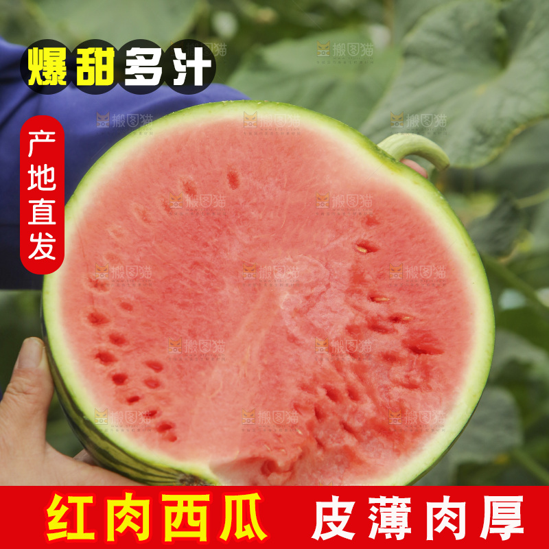 手里拿着半边切面的红心西瓜