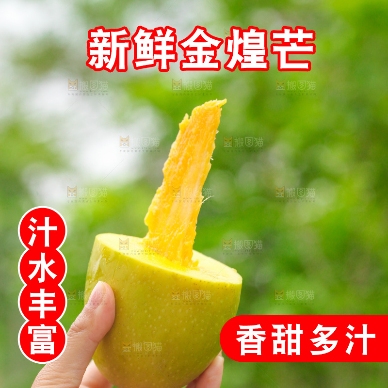 手里拿着金煌芒