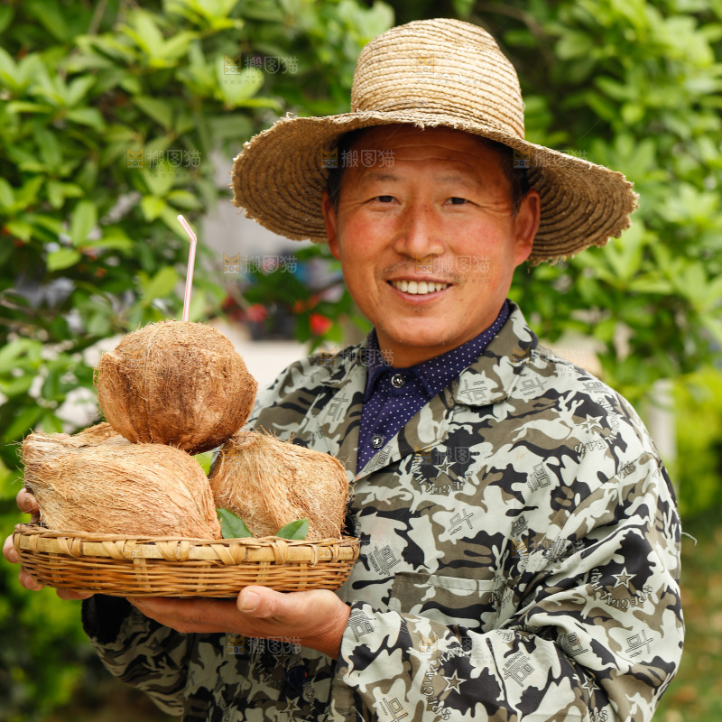 手里端着一篮海南老椰子
