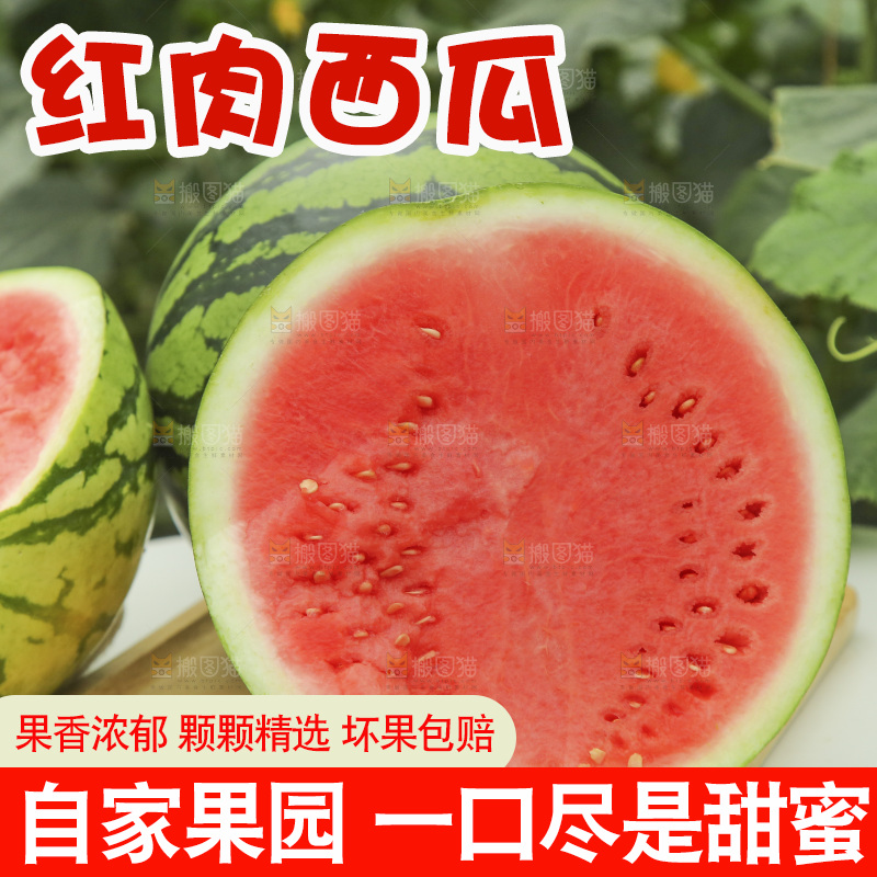 桌子上摆放着麒麟西瓜