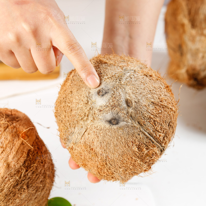 手里拿着老椰子