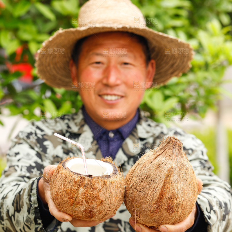 手里拿着老椰子