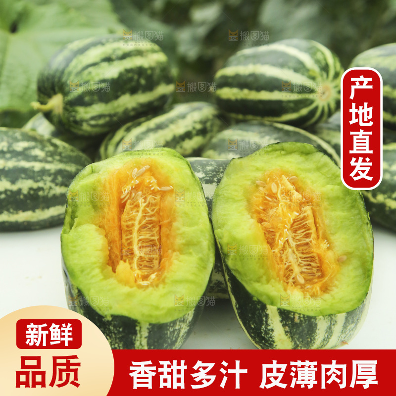 桌子上放着博洋9号甜瓜
