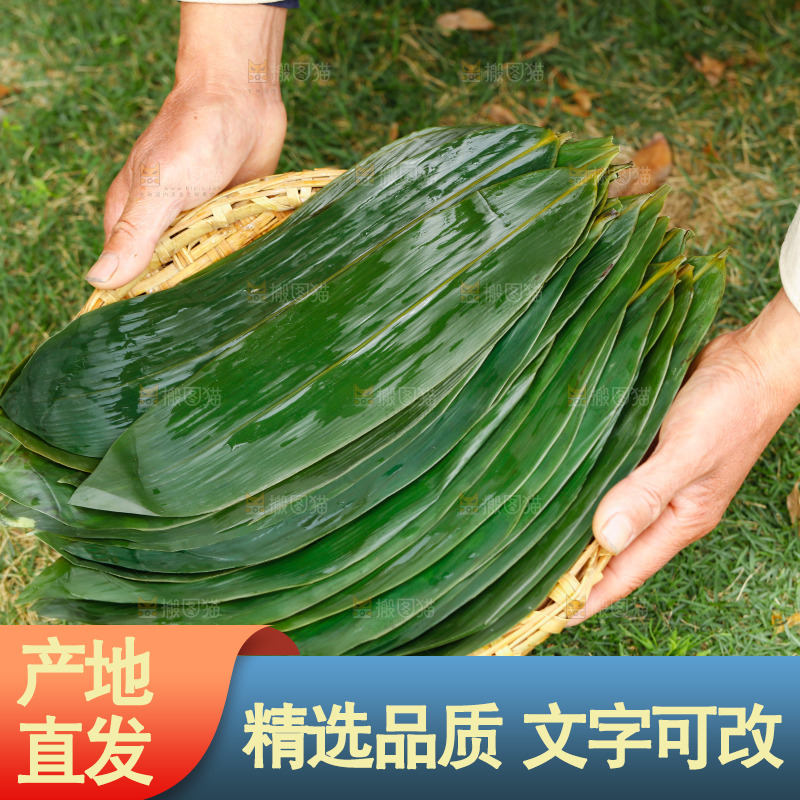 手里端着一篮新鲜粽叶
