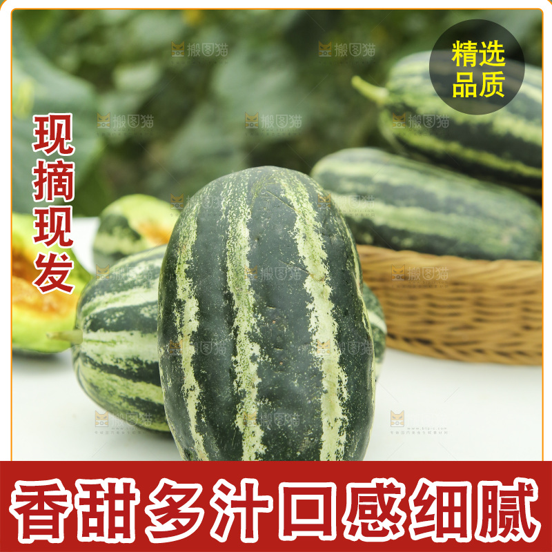桌子上放着博洋9号甜瓜