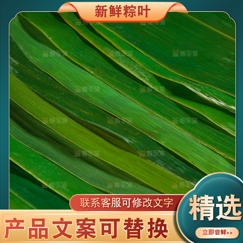 新鲜粽叶纹理