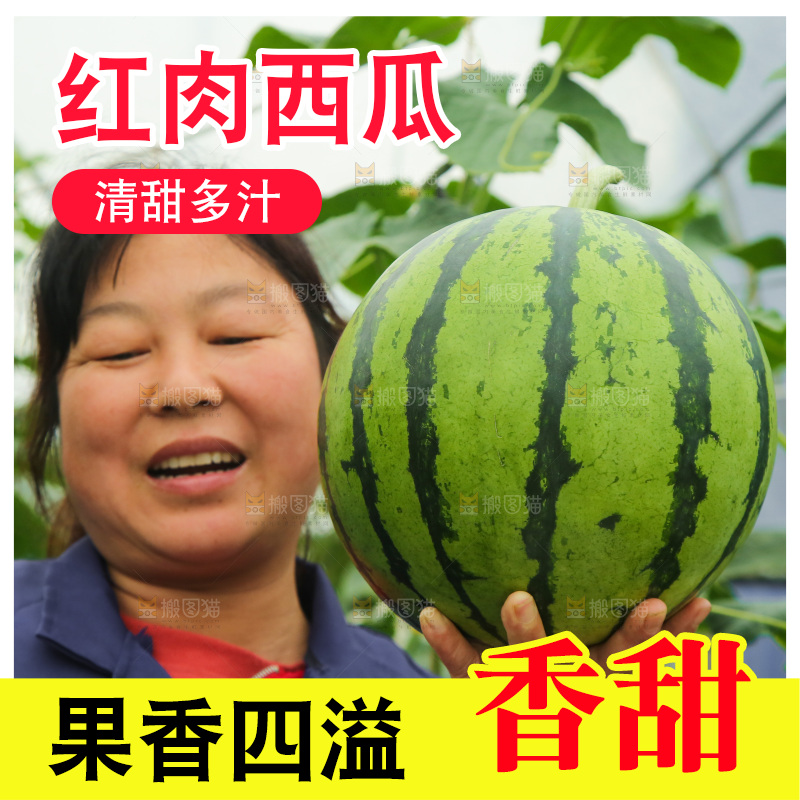 手里拿着个西瓜