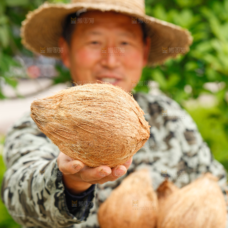 手里拿着老椰子