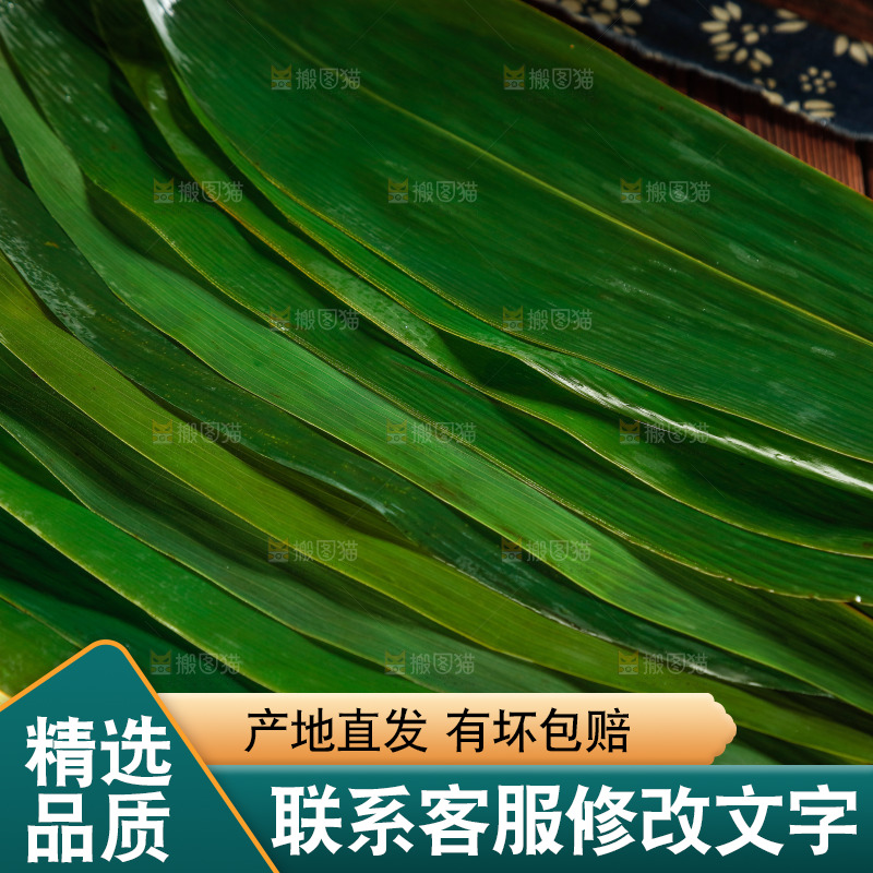 新鲜粽叶纹理