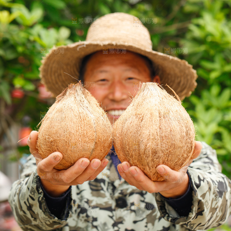 手里拿着老椰子