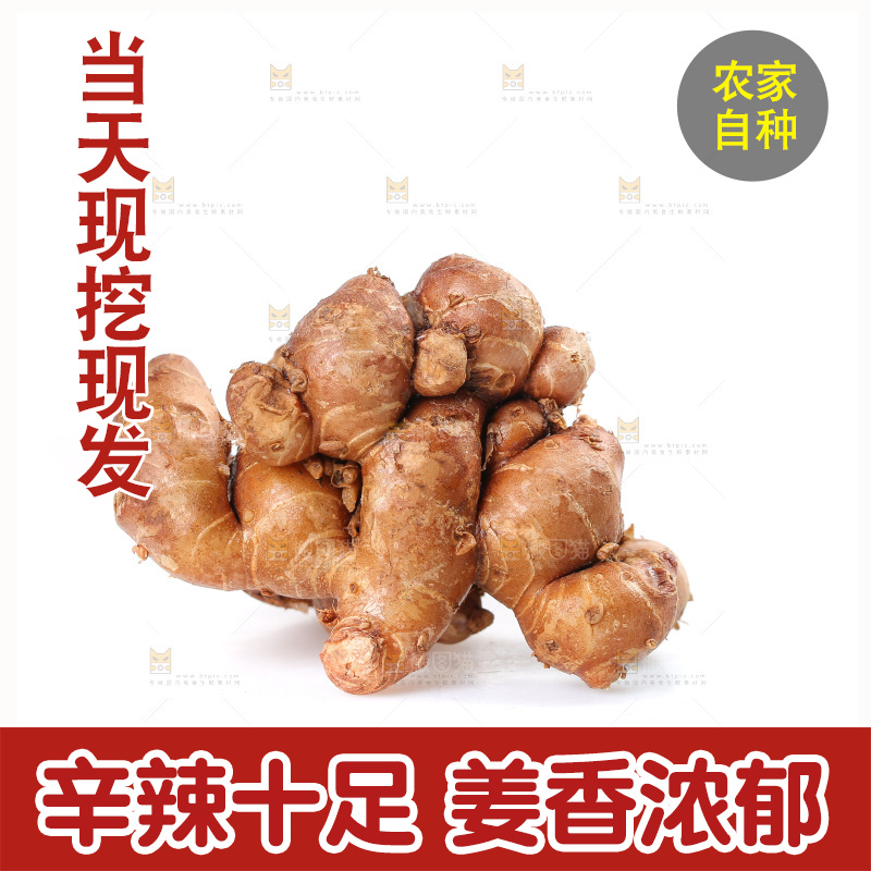 白底上摆放着沙姜