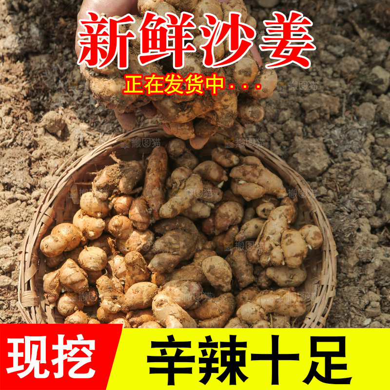 田地上放着一篮沙姜