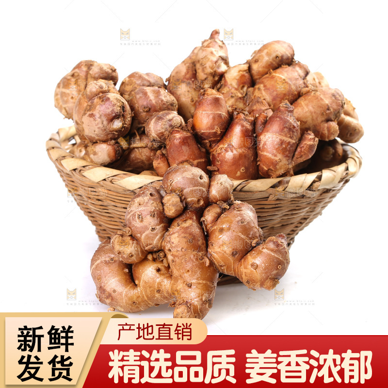 白底上放着一篮新鲜沙姜