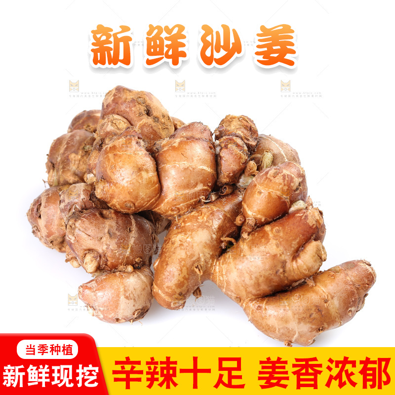 白底上摆放着沙姜