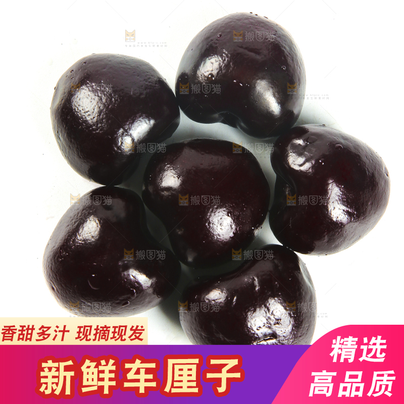 白底上的四川汉源黑珍珠