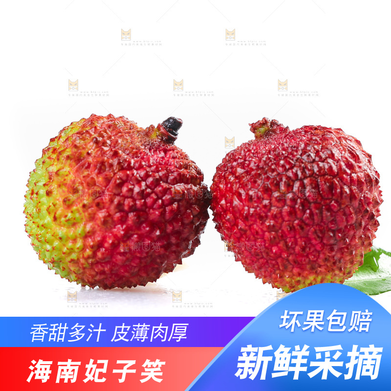 白底上放着妃子笑荔枝