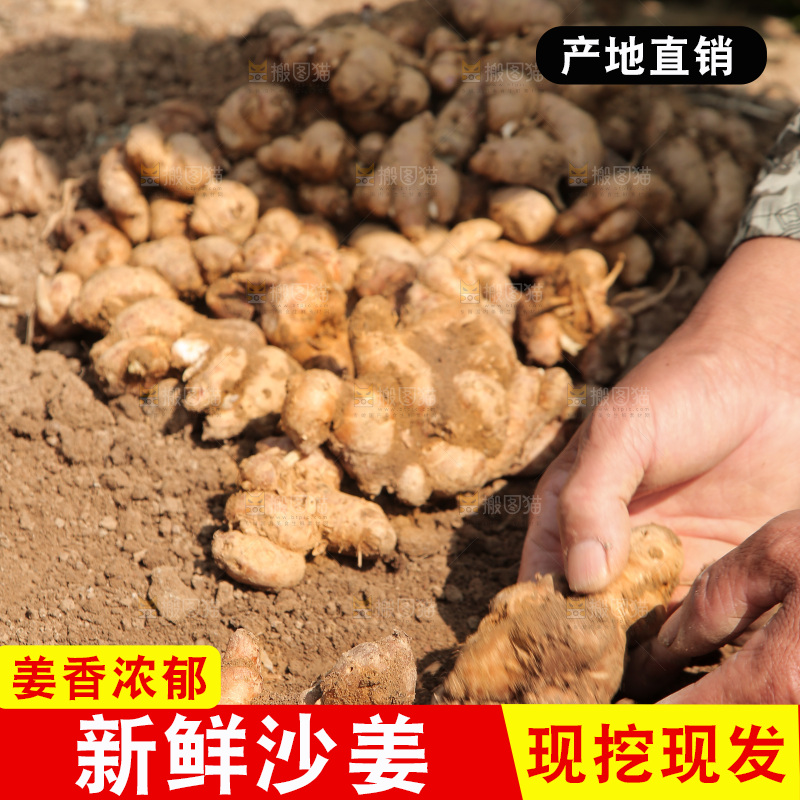 手刨新鲜沙姜
