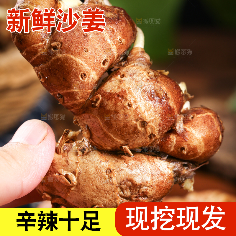 手里拿着沙姜