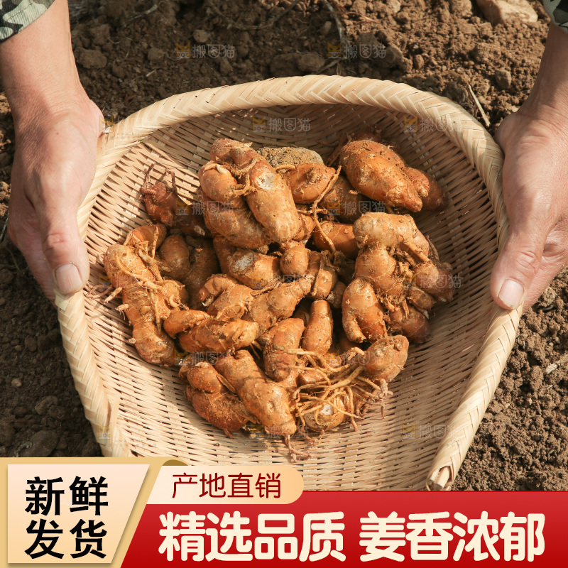 手上端着一篮沙姜