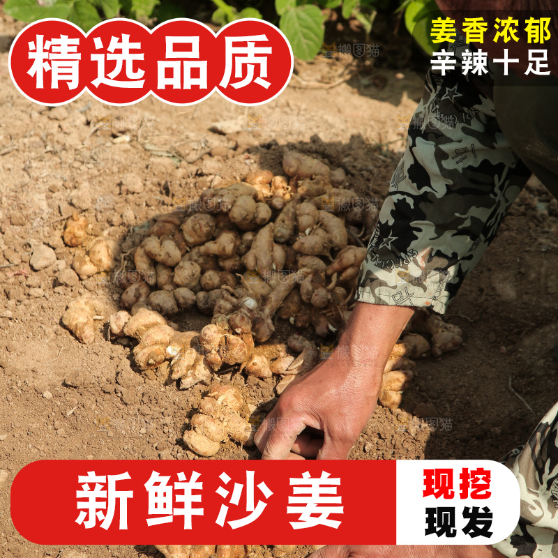 手刨新鲜沙姜