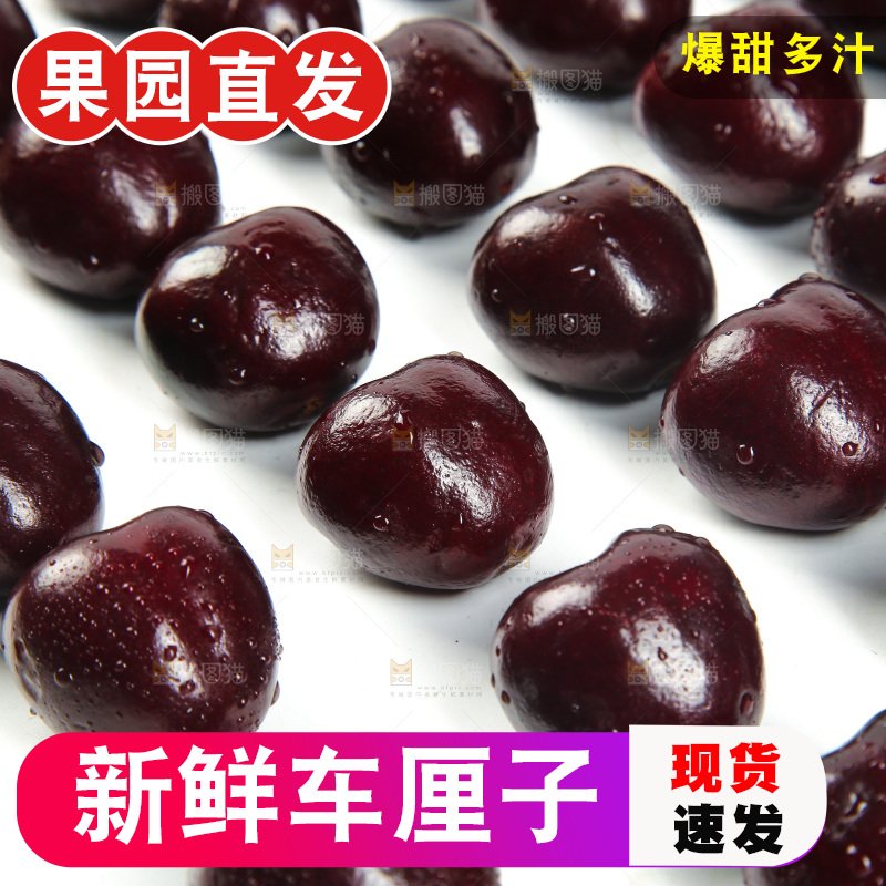 白底上摆放着整齐的车厘子