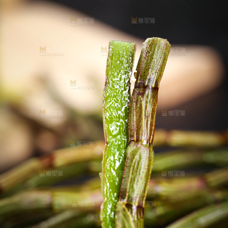 手里拿着石斛鲜条